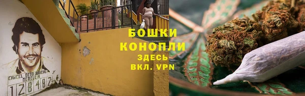 PSILOCYBIN Остров