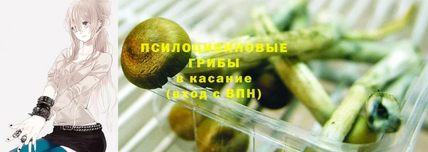 соль ск Пестово