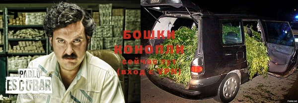 PSILOCYBIN Остров