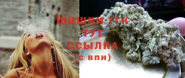 соль ск Пестово