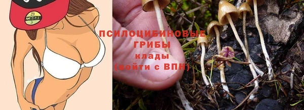 герыч Пересвет