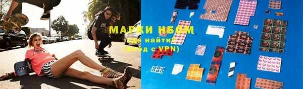 прущие грибы Осинники