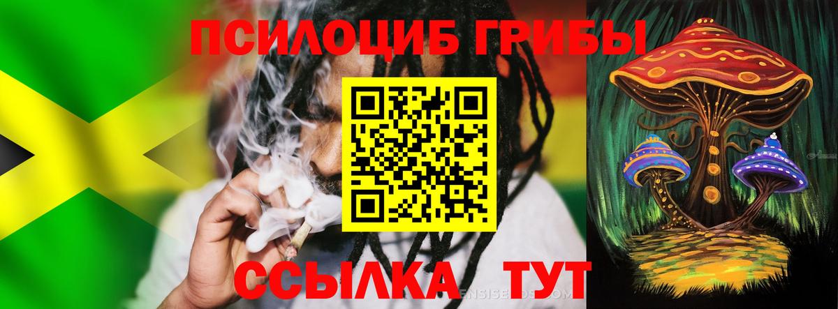 Псилоцибиновые грибы Psilocybe Ступино