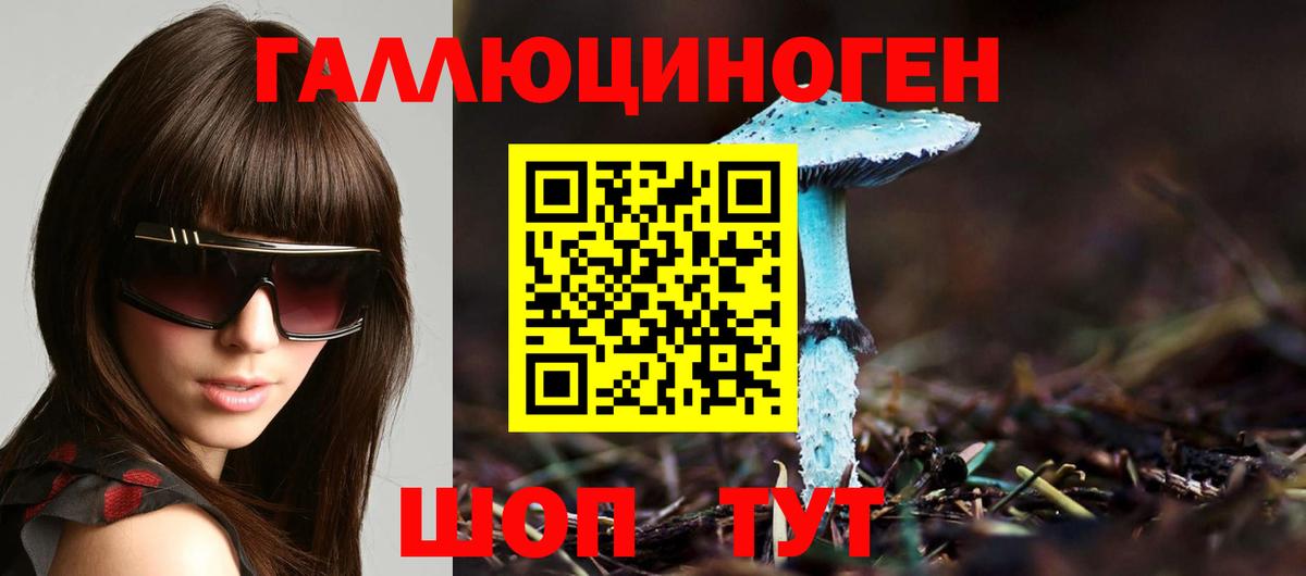 Псилоцибиновые грибы Cubensis  Вход с VPN  Ступино 