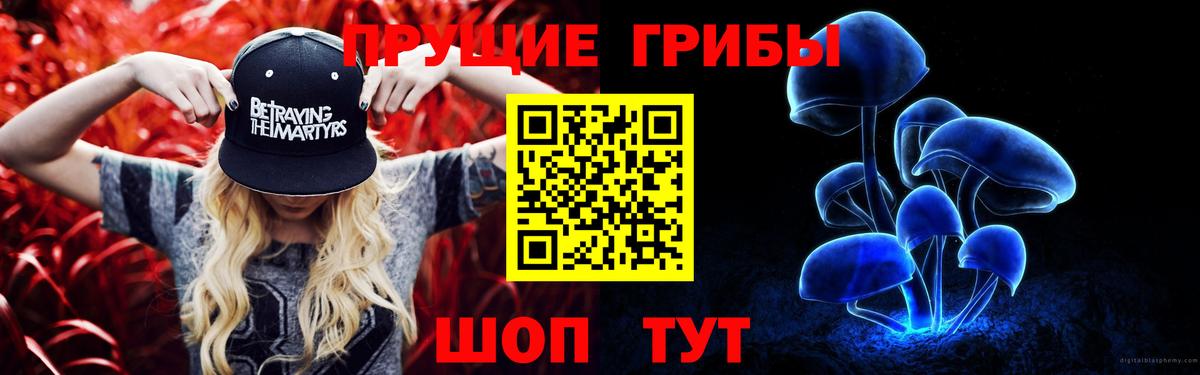 Псилоцибиновые грибы Psilocybe Ступино