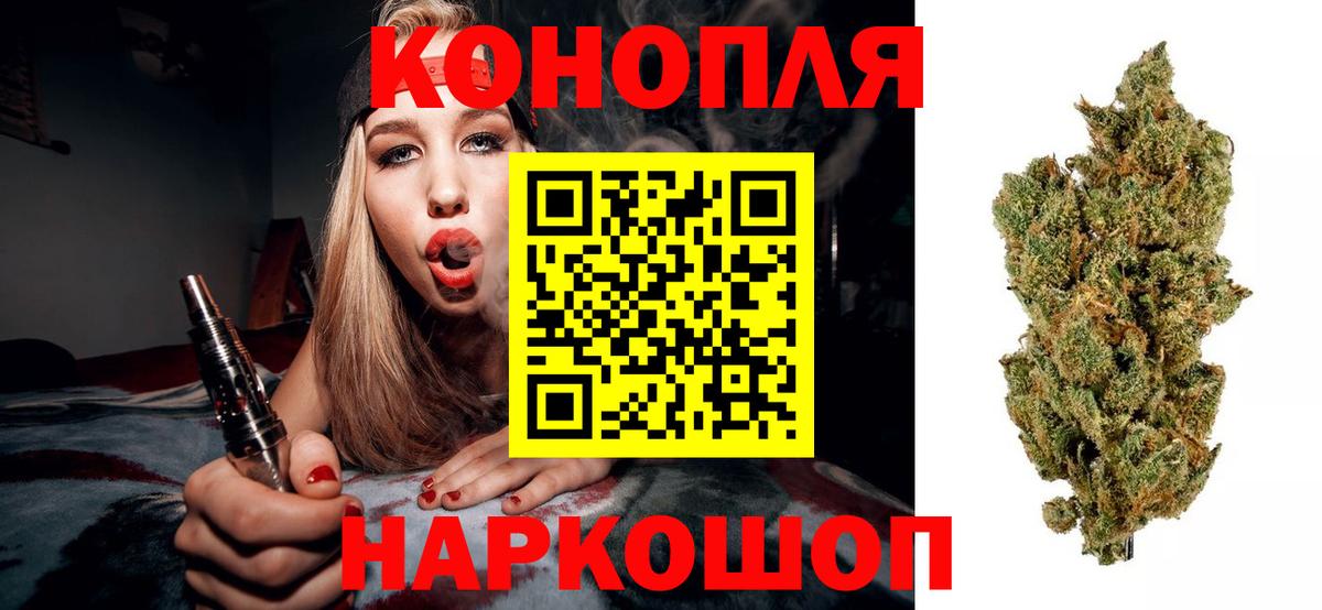 Конопля сатива Ступино